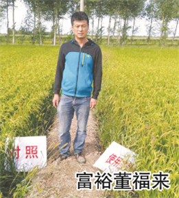 使用對照