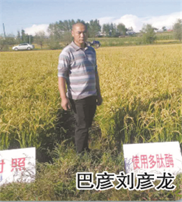 使用對照