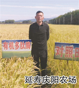 使用對照