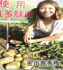 使用對照