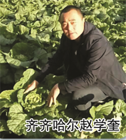 使用對照