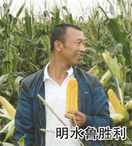 使用對照