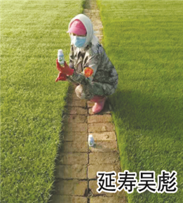 使用對照
